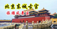 操日韩美女阳道中国北京-东城古宫旅游风景区
